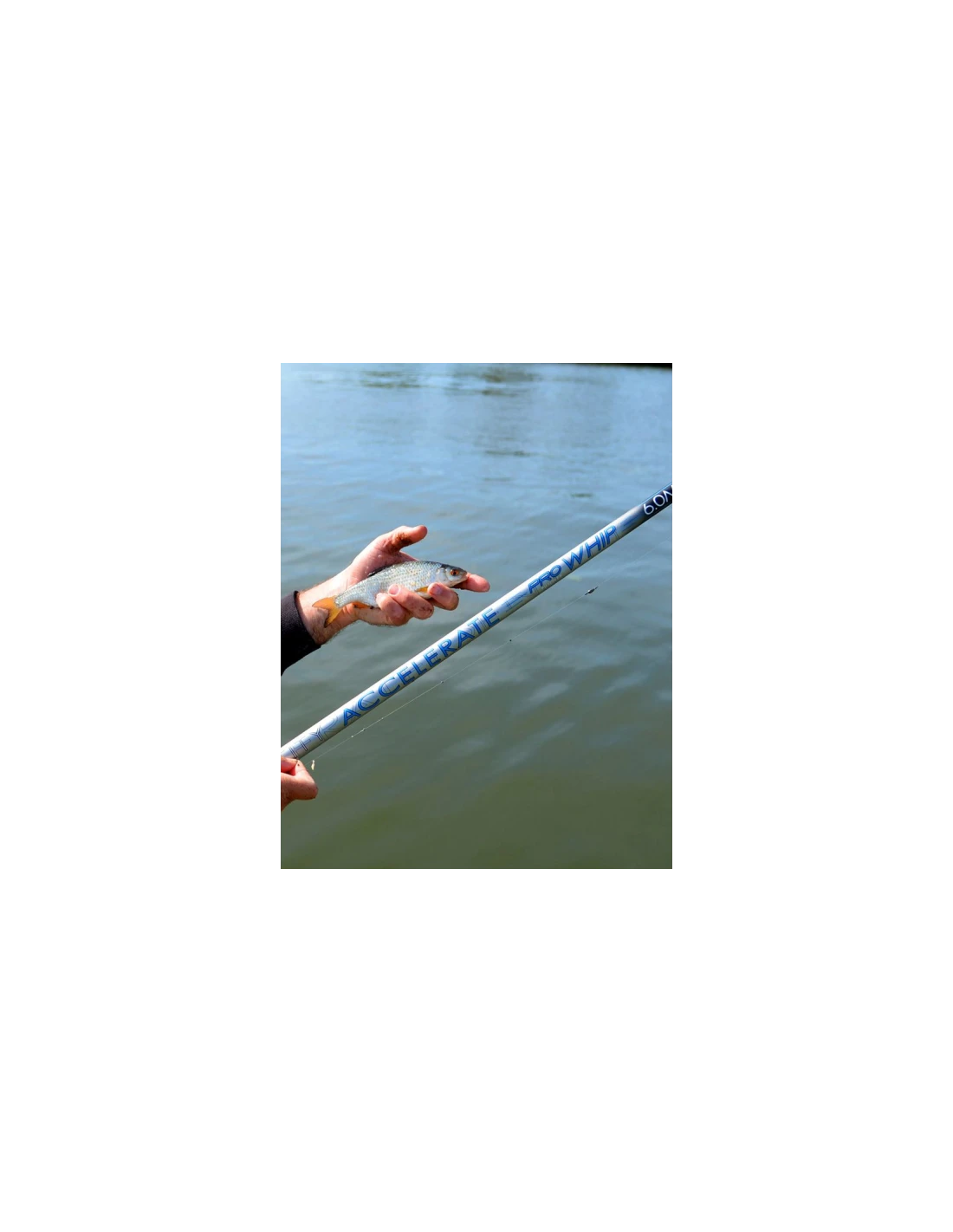 CRESTA HENGEL IDENTITY ACCELERATE WHIP 5M 6 CRESTA HENGEL IDENTITY ACCELERATE WHIP 5M - Afbeelding 4