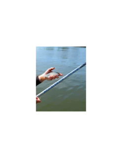 CRESTA HENGEL IDENTITY ACCELERATE WHIP 6M 9 CRESTA HENGEL IDENTITY ACCELERATE WHIP 6M -Verkoop Van Visgerei cresta hengel identity accelerate whip 6m 2