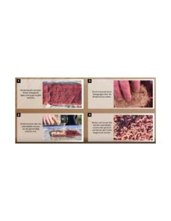 FTM LOSMIDDEL MUGGENLARVEN - VERS DE VASE AMINO FLASH MUCKENTRENNEN 560GR FTM