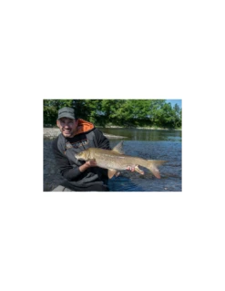 SONUBAITS PELLETS HALIBUT FEED PELLETS 900GR SONUBAITS 7 SONUBAITS PELLETS HALIBUT FEED PELLETS 900GR SONUBAITS -Verkoop Van Visgerei sonubaits pellets halibut feed pellets 900gr sonubaits 2